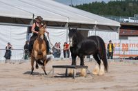 Liane Reinemer in Aktion - Bild bereitgestellt von Horse School &copy; MaR7